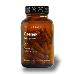Česnek