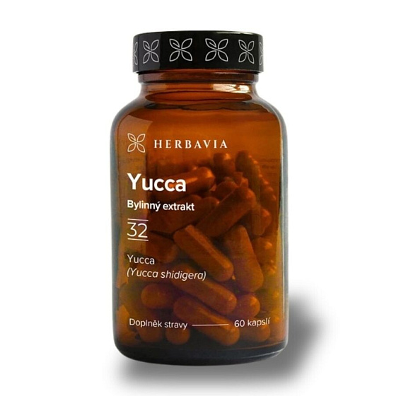 Yucca