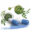 Suplementy diety Moringa